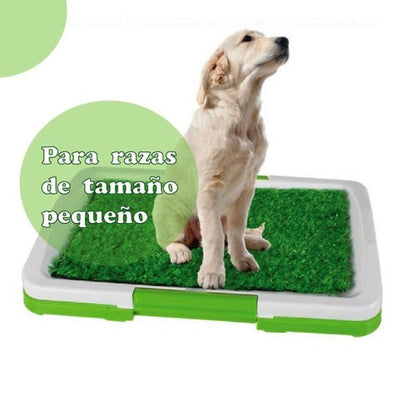 Baño Para Perros Portátil